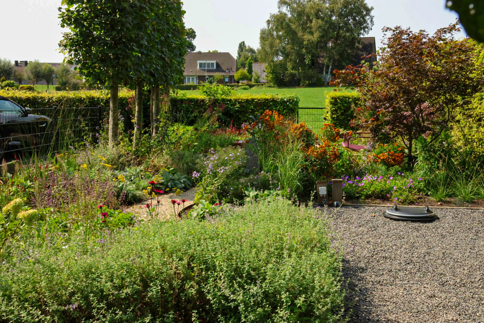 Hovenier Apeldoorn